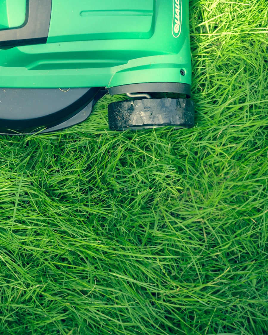 A freshly mowed lawn with crisp edging